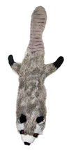 Load image into Gallery viewer, Skinneeez Multicolored Raccoon Plush Dog Toy Small