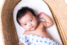 Load image into Gallery viewer, ORGANIC SWADDLE - BLUE BUTTERFLY