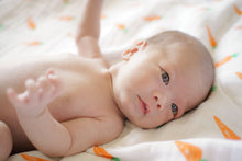 Load image into Gallery viewer, ORGANIC SWADDLE - CARROT